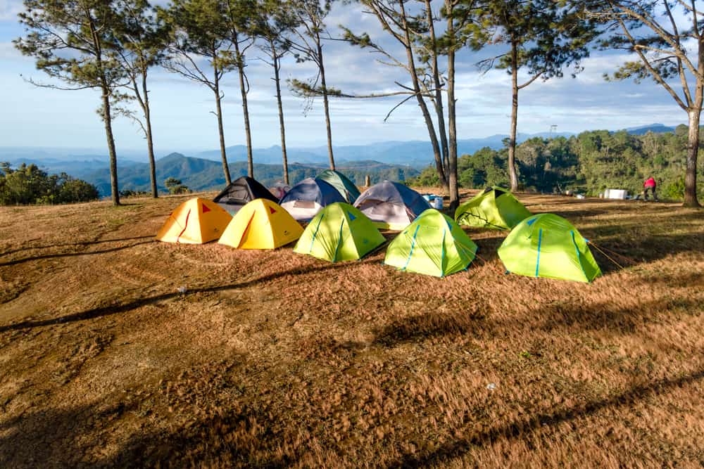 Several tents pitched on a grassy mountain campsite among pine trees