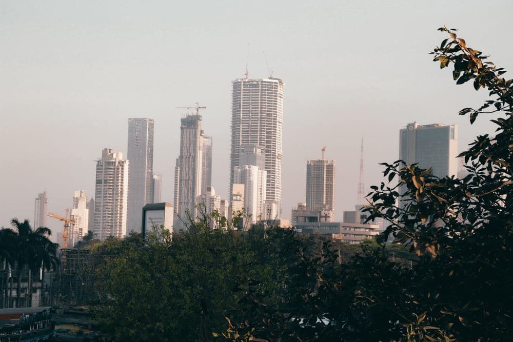 A city skyline with tall buildings and trees