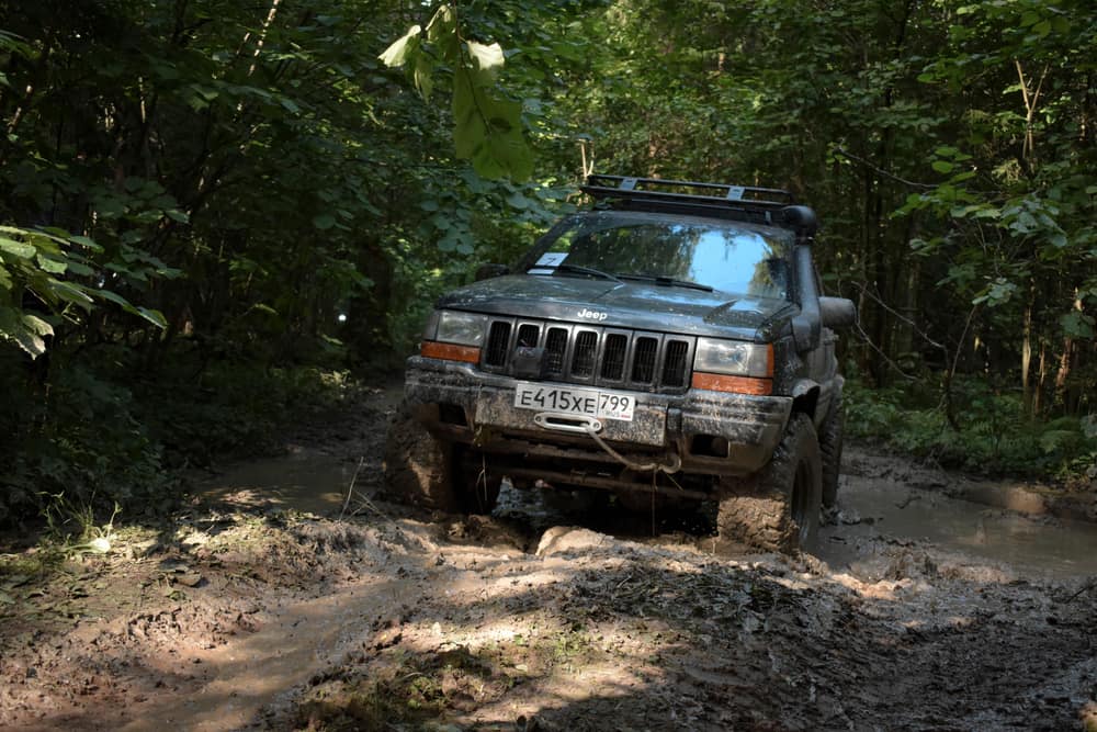 A Jeep on a muddy trail in a dense forest