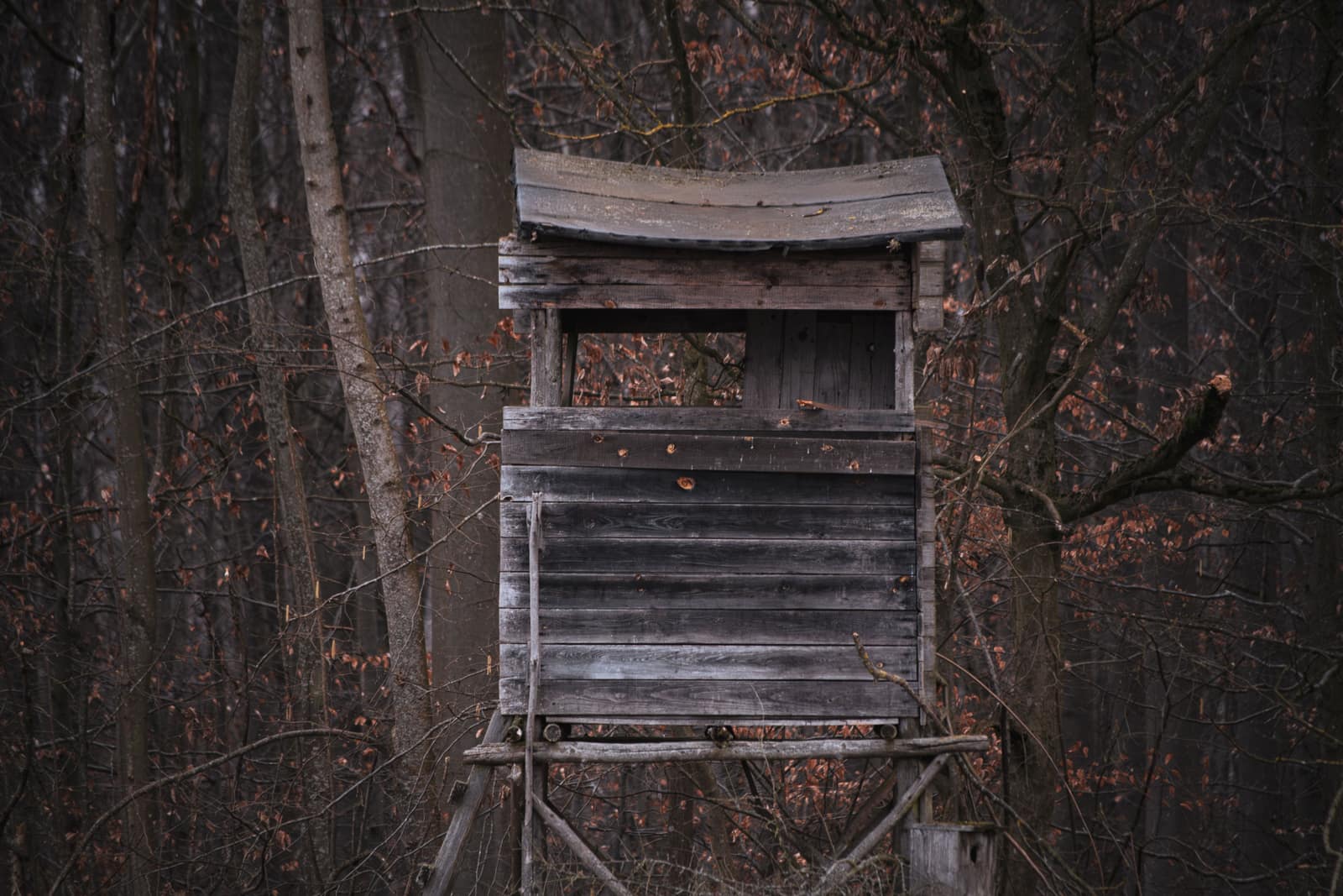 A wooden hunting tower among autumn trees in a dense forest